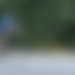 slider-cobra-bg-blur